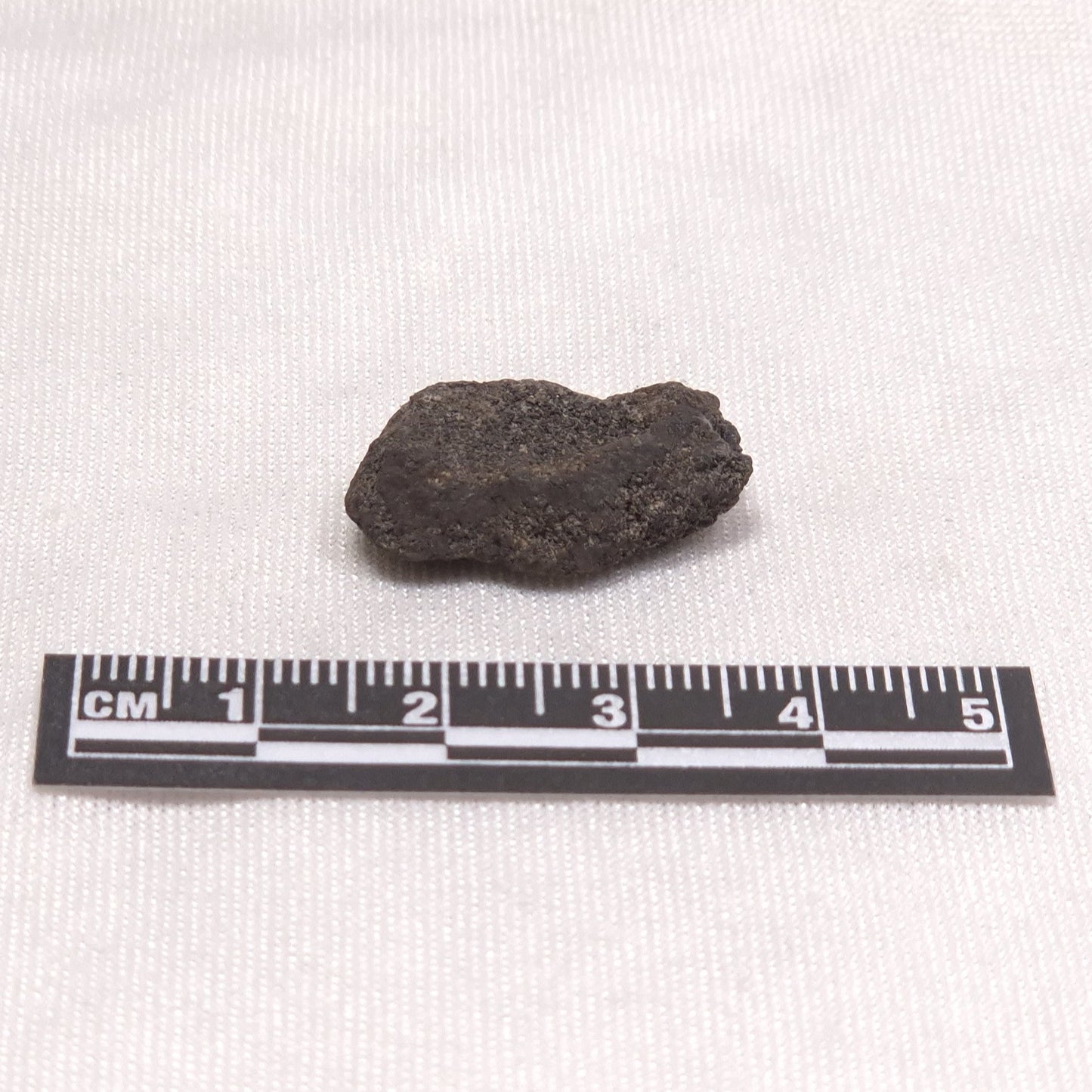 MANGANESE NODULE (POLYMETALLIC), Pacific Ocean XMN008