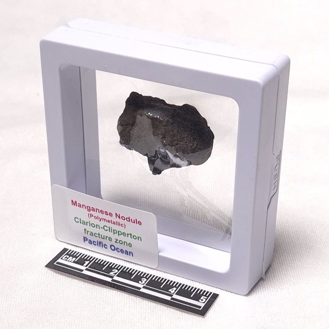 MANGANESE NODULE (POLYMETALLIC), Pacific Ocean XMN009