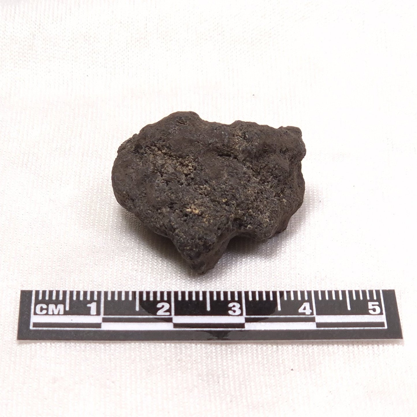 MANGANESE NODULE (POLYMETALLIC), Pacific Ocean XMN009