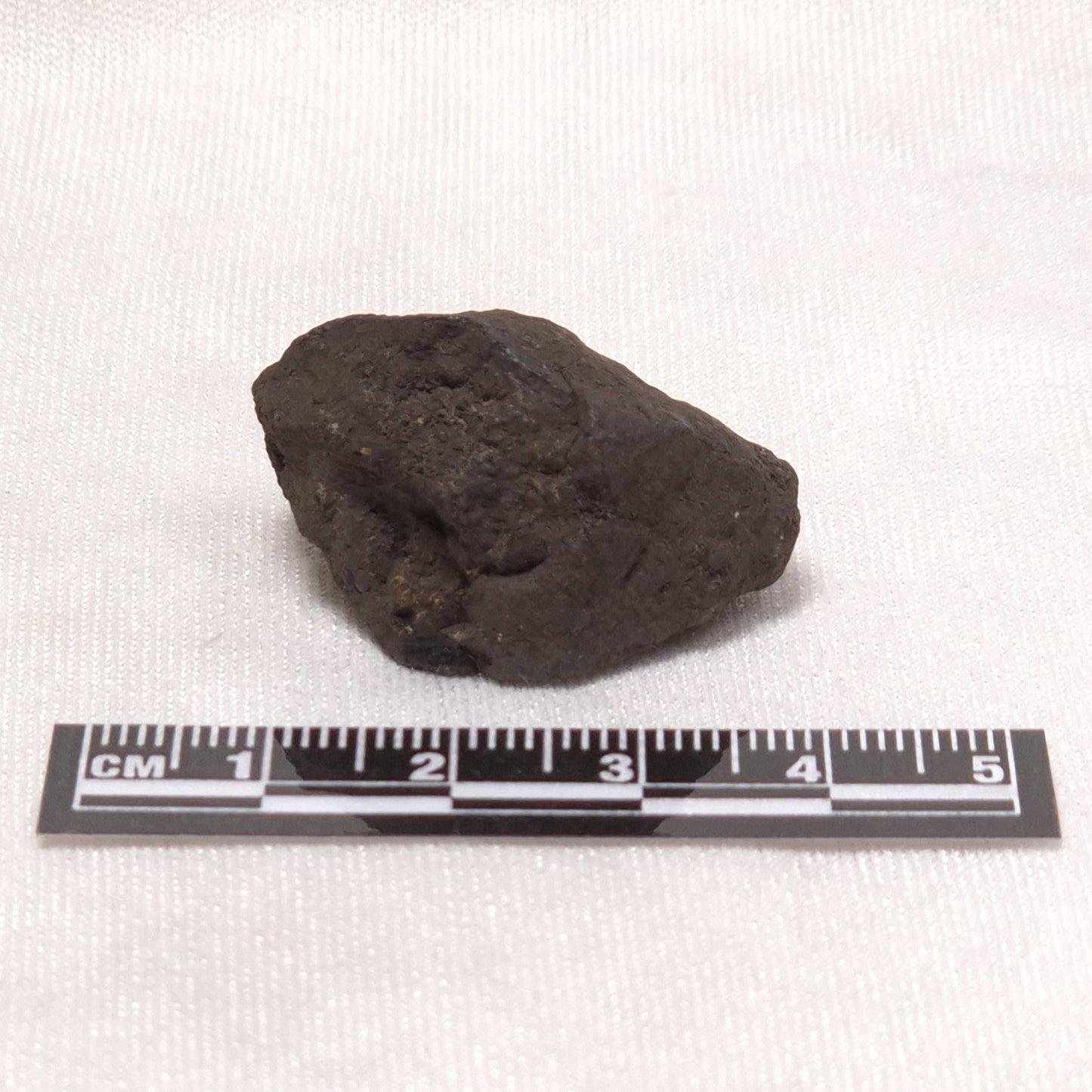 MANGANESE NODULE (POLYMETALLIC), Pacific Ocean XMN010