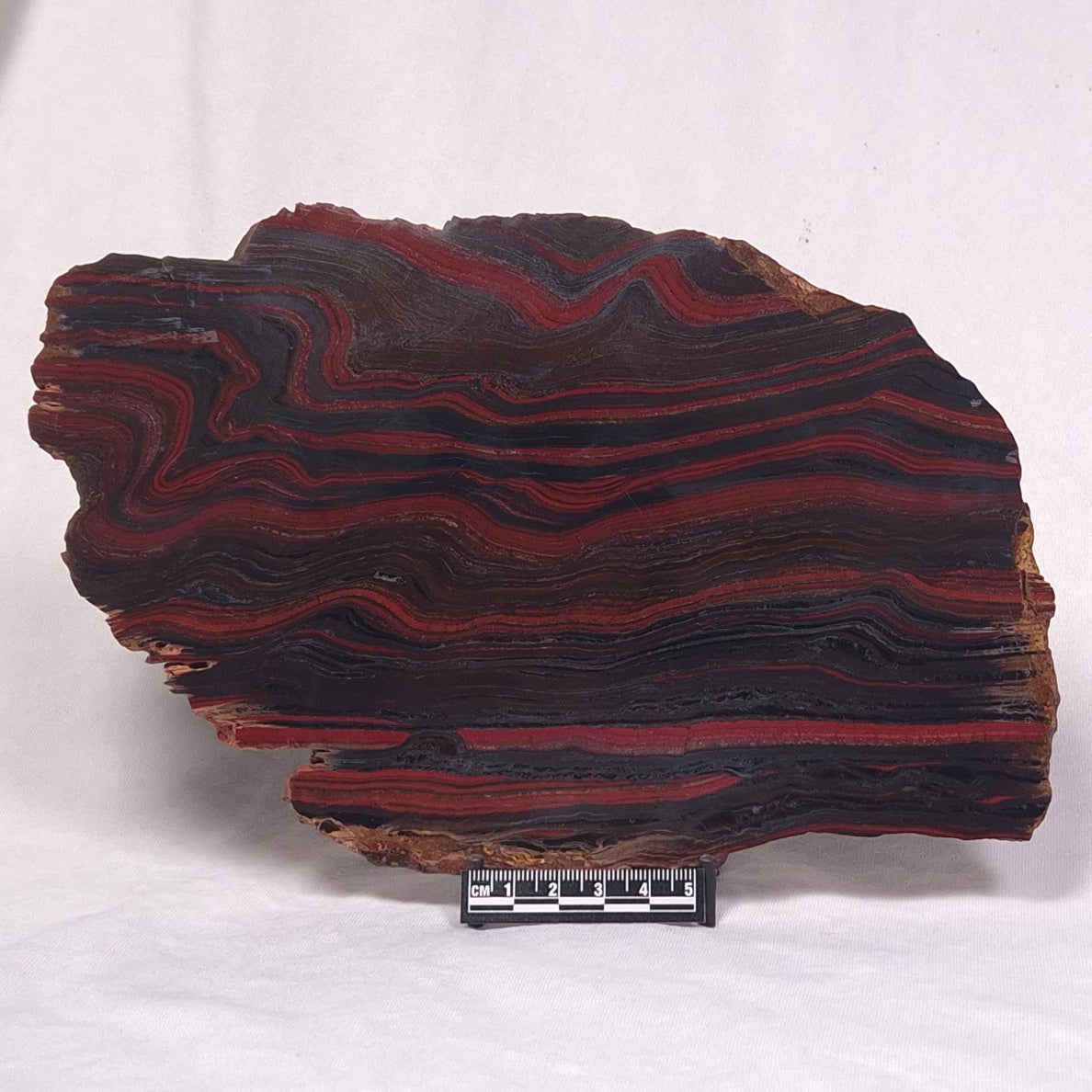 BANDED TIGER IRON MICROBIALITE, Archean, Australia ZBI036