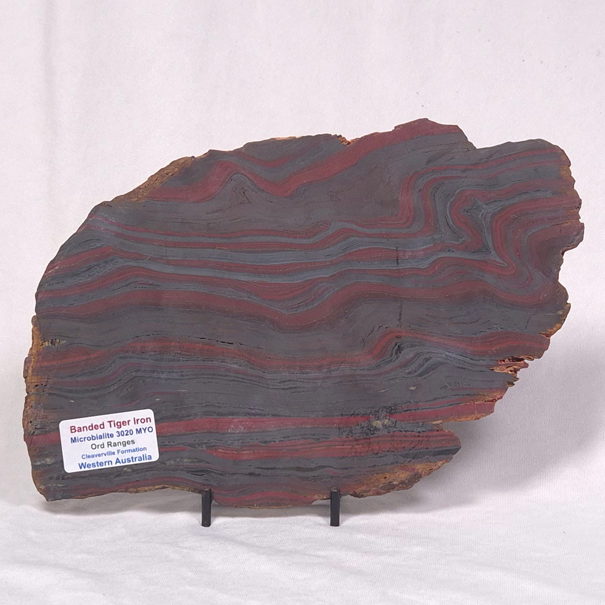 BANDED TIGER IRON MICROBIALITE, Archean, Australia ZBI036