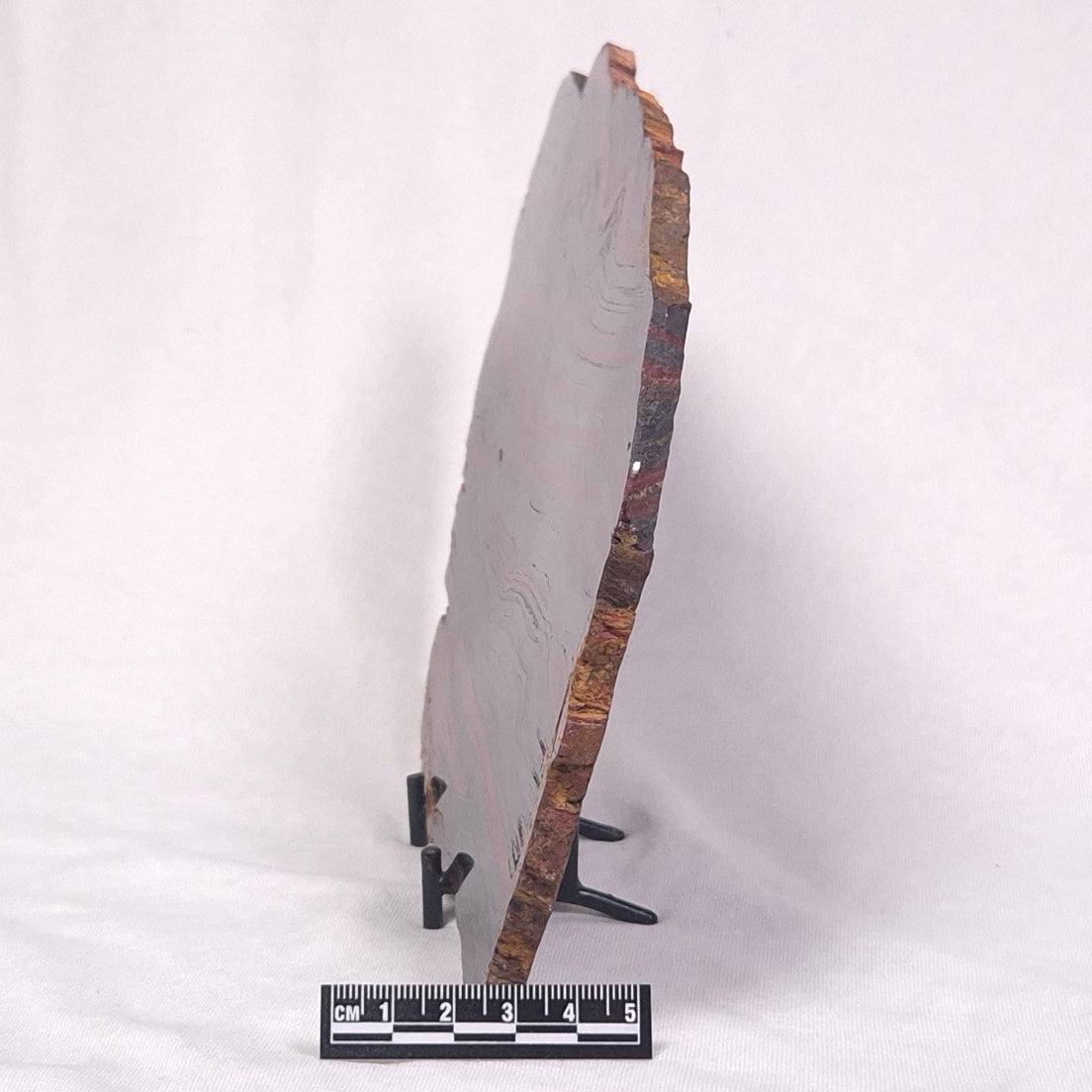 BANDED TIGER IRON MICROBIALITE, Archean, Australia ZBI036