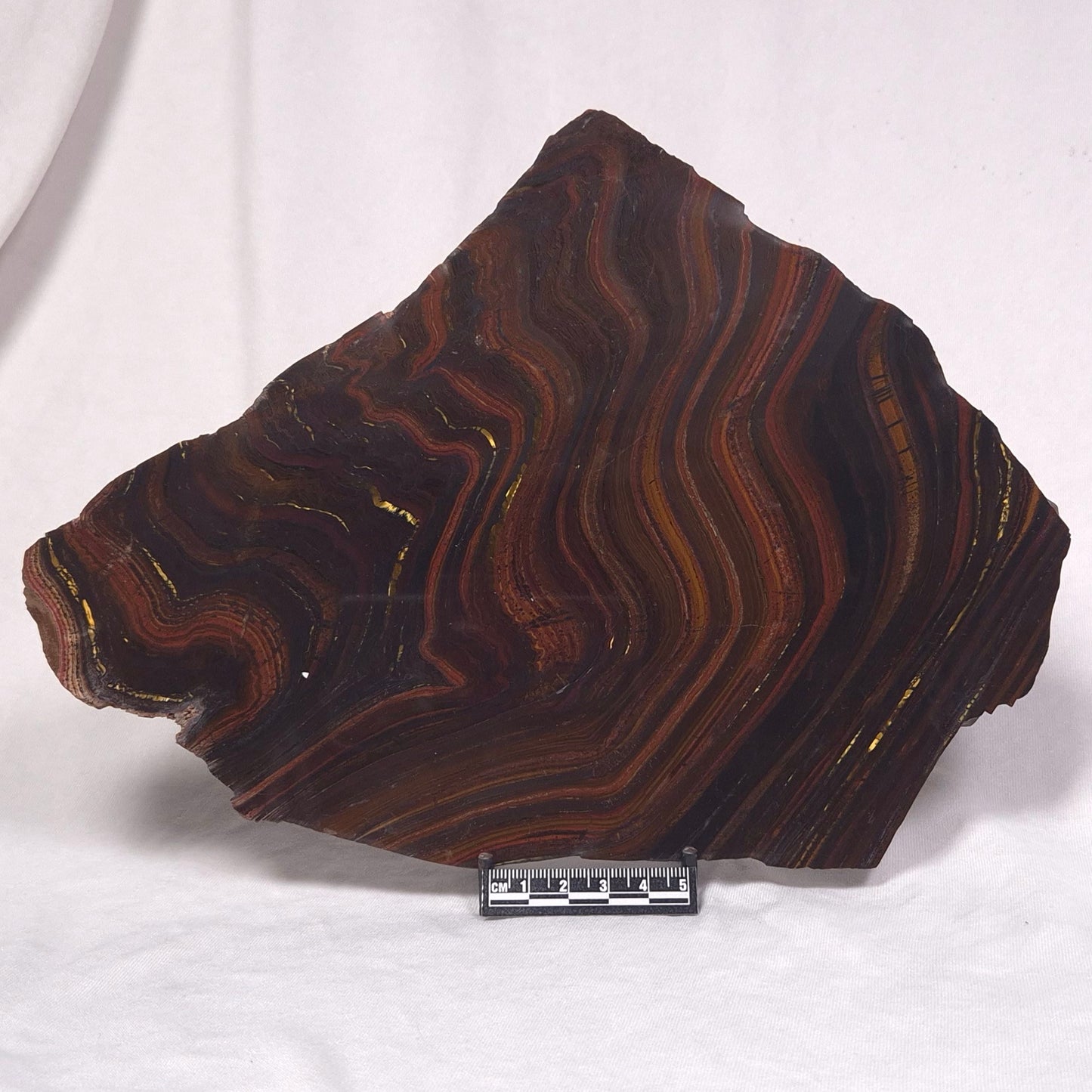 BANDED TIGER IRON MICROBIALITE, Archean, Australia ZBI038