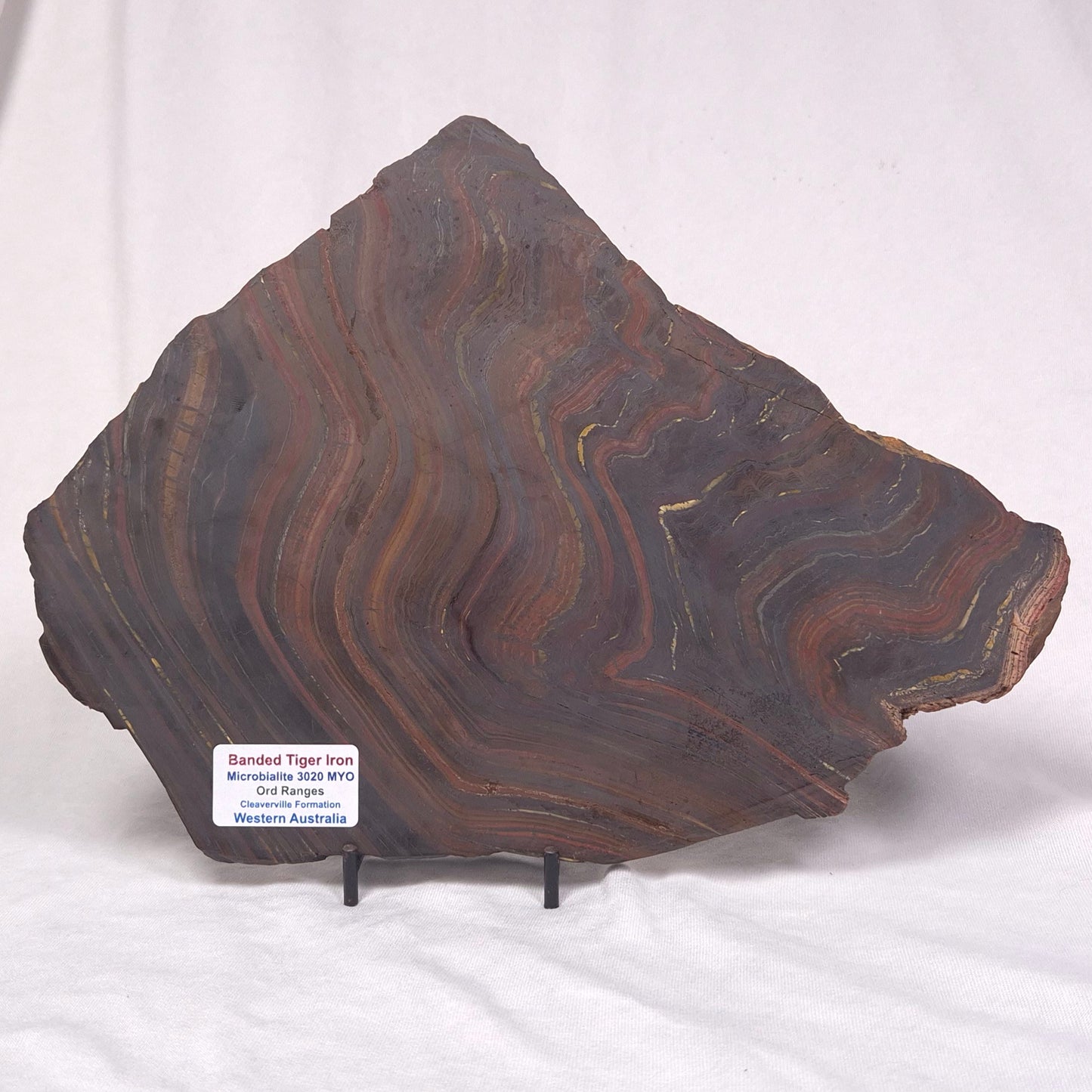BANDED TIGER IRON MICROBIALITE, Archean, Australia ZBI038