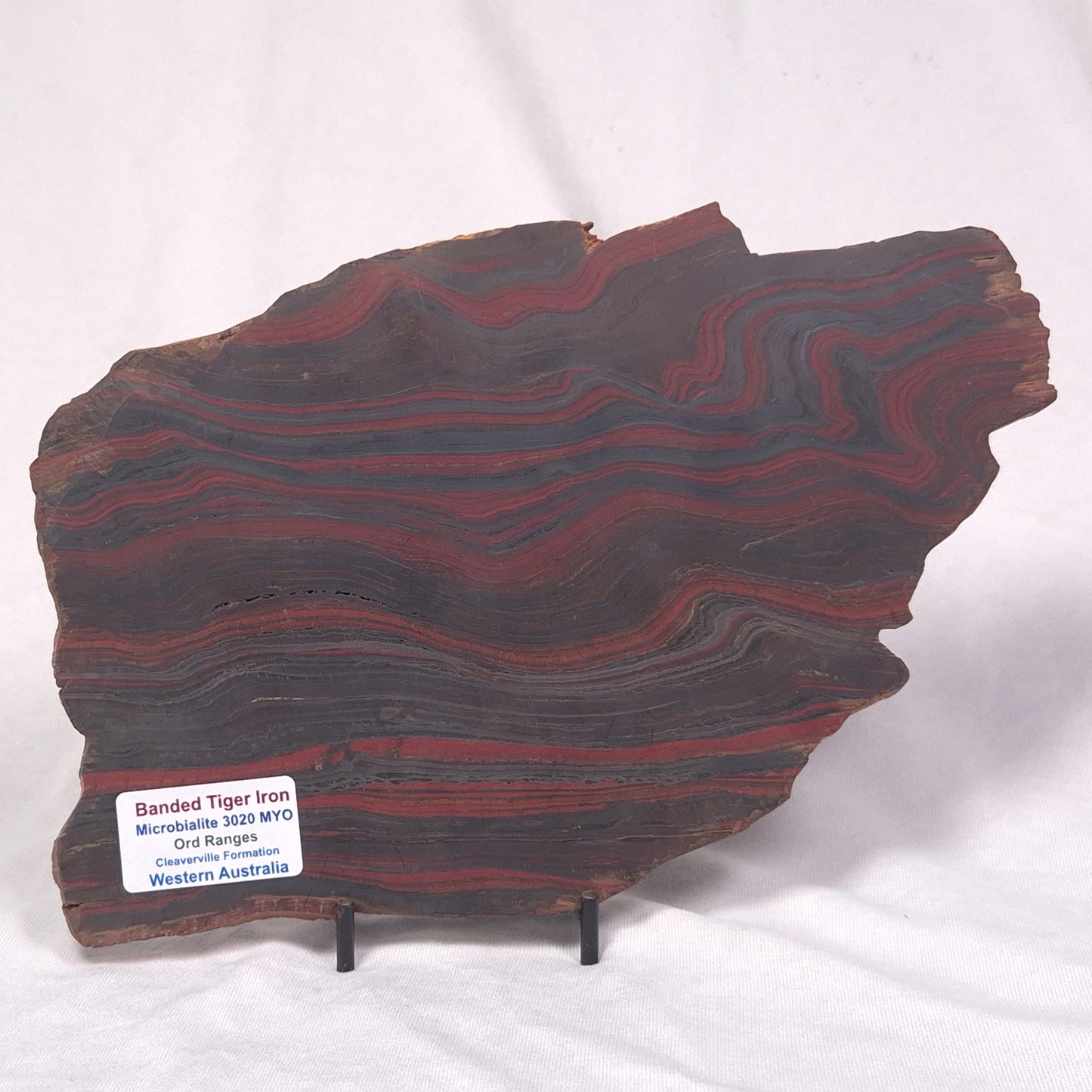 BANDED TIGER IRON MICROBIALITE, Archean, Australia ZBI039