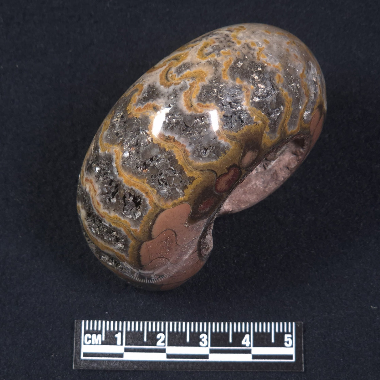 AMMONITE, East Timor XAT013