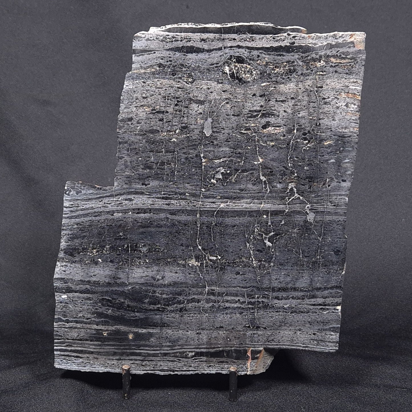 ALCHERINGA NARRINA STROMATOLITE, Late Archean, Australia ZAN002