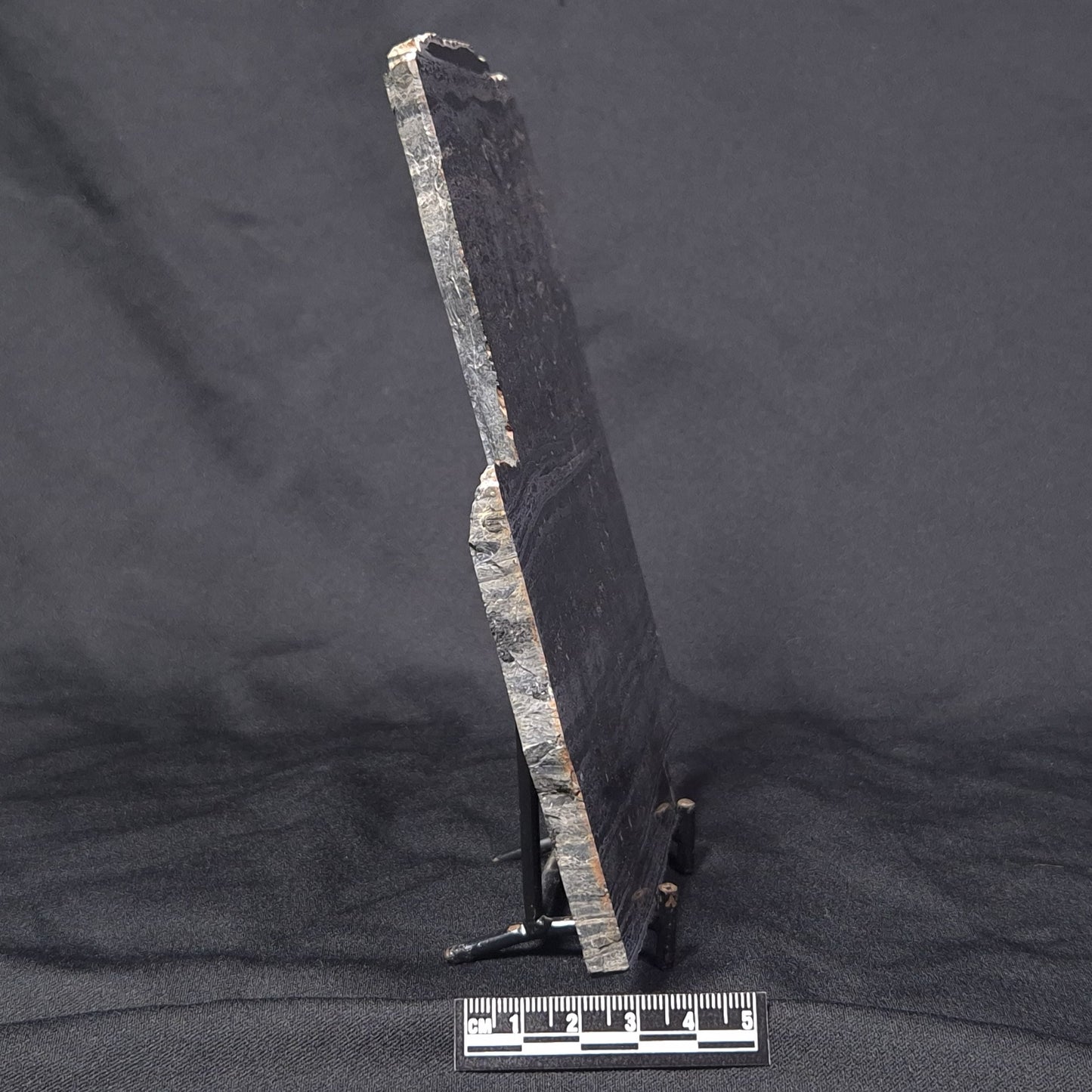 ALCHERINGA NARRINA STROMATOLITE, Late Archean, Australia ZAN002