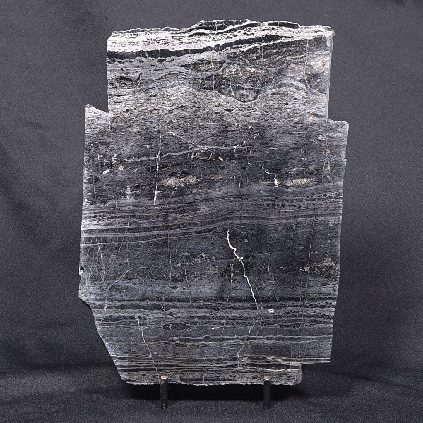 ALCHERINGA NARRINA STROMATOLITE, Late Archean, Australia ZAN004