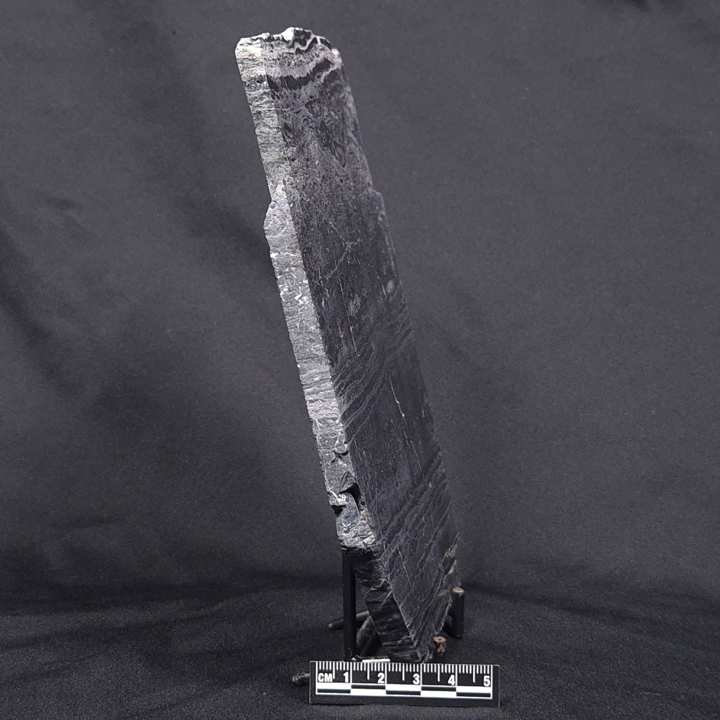 ALCHERINGA NARRINA STROMATOLITE, Late Archean, Australia ZAN004