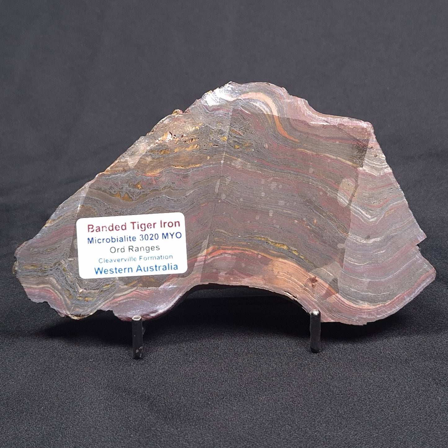 BANDED TIGER IRON MICROBIALITE, Archean, Australia ZBI045