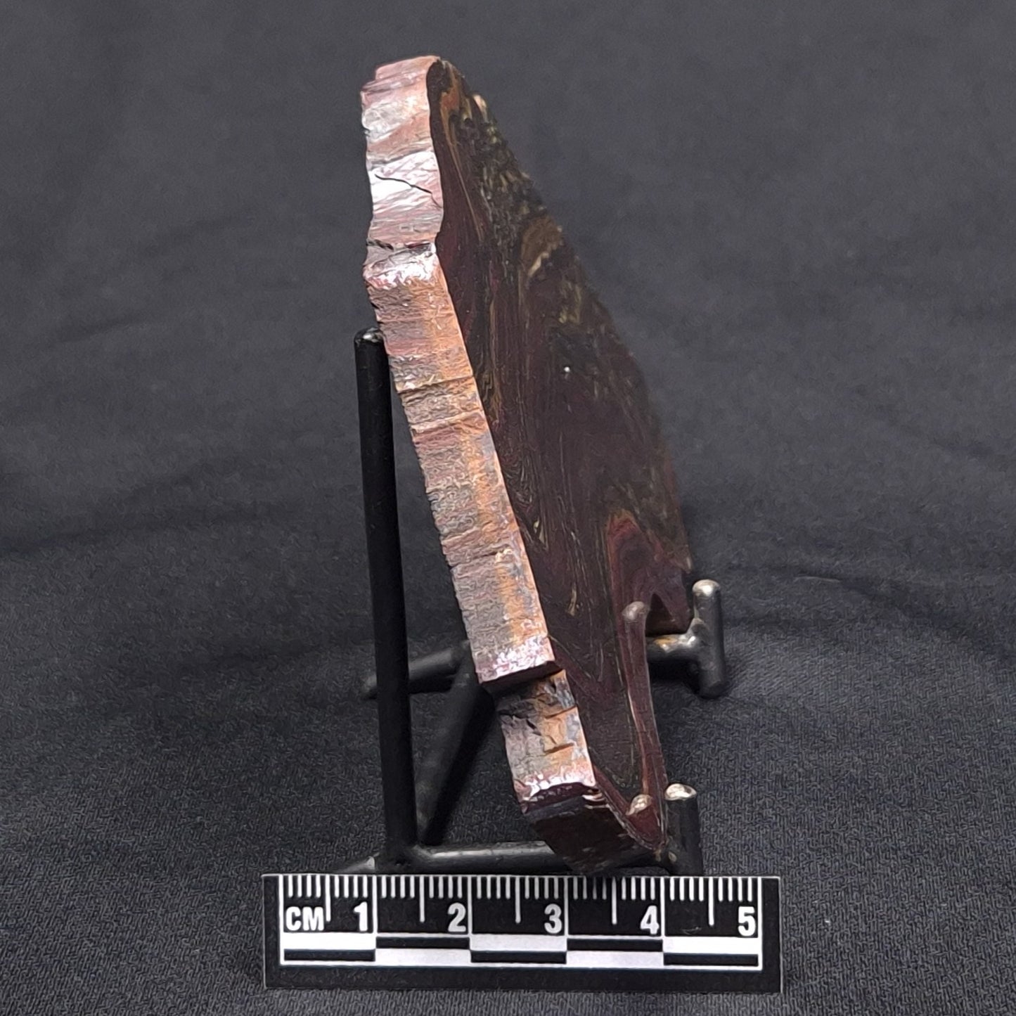 BANDED TIGER IRON MICROBIALITE, Archean, Australia ZBI045