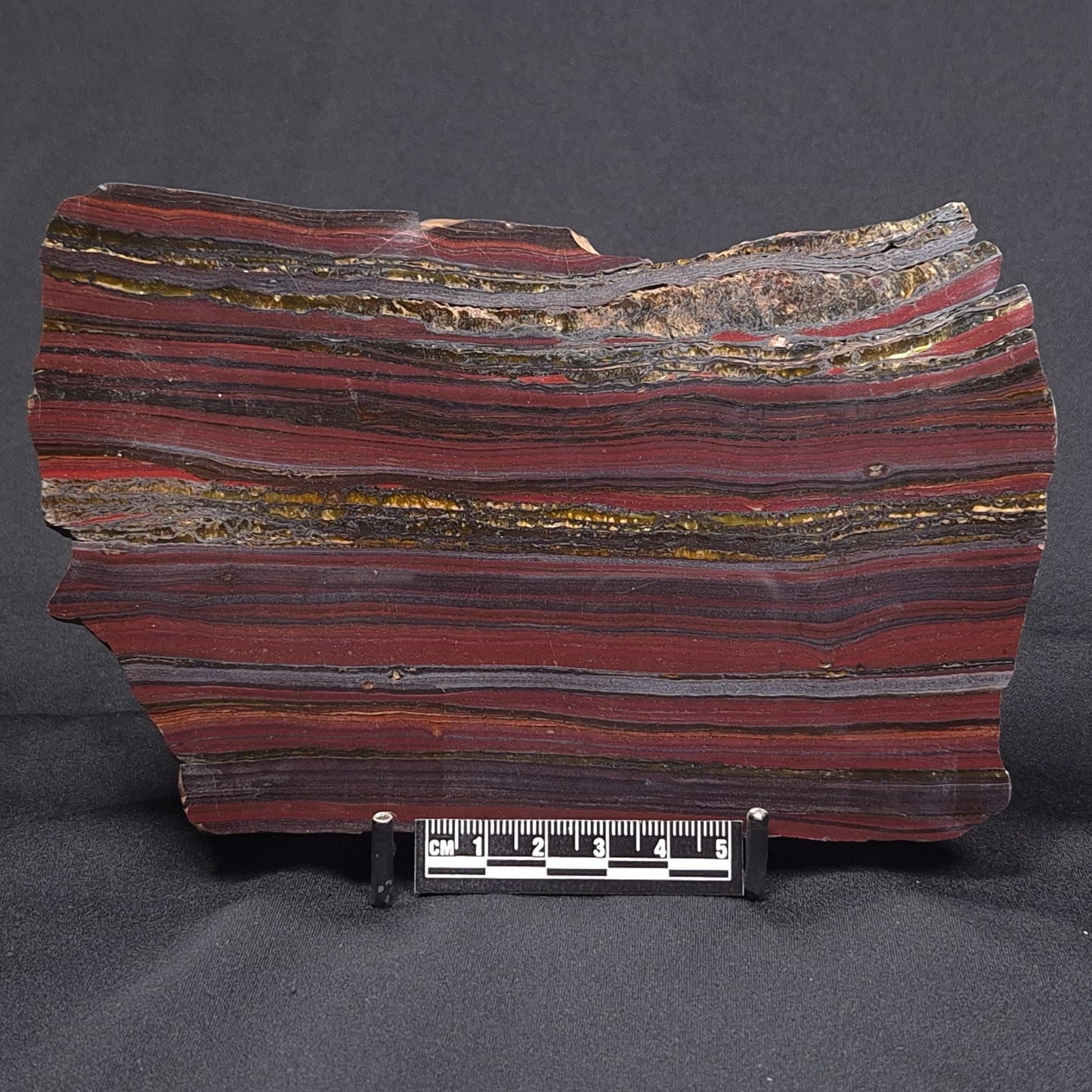 BANDED TIGER IRON MICROBIALITE, Archean, Australia ZBI046