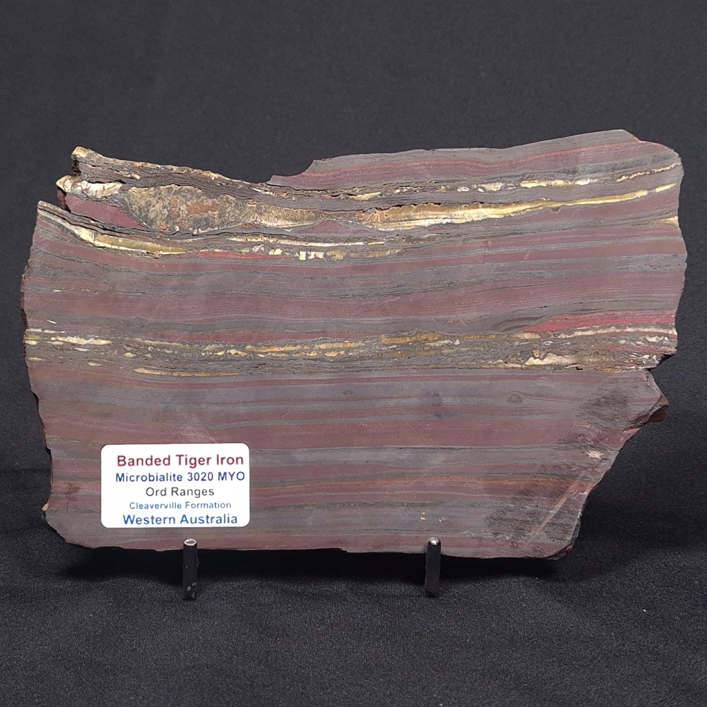 BANDED TIGER IRON MICROBIALITE, Archean, Australia ZBI046