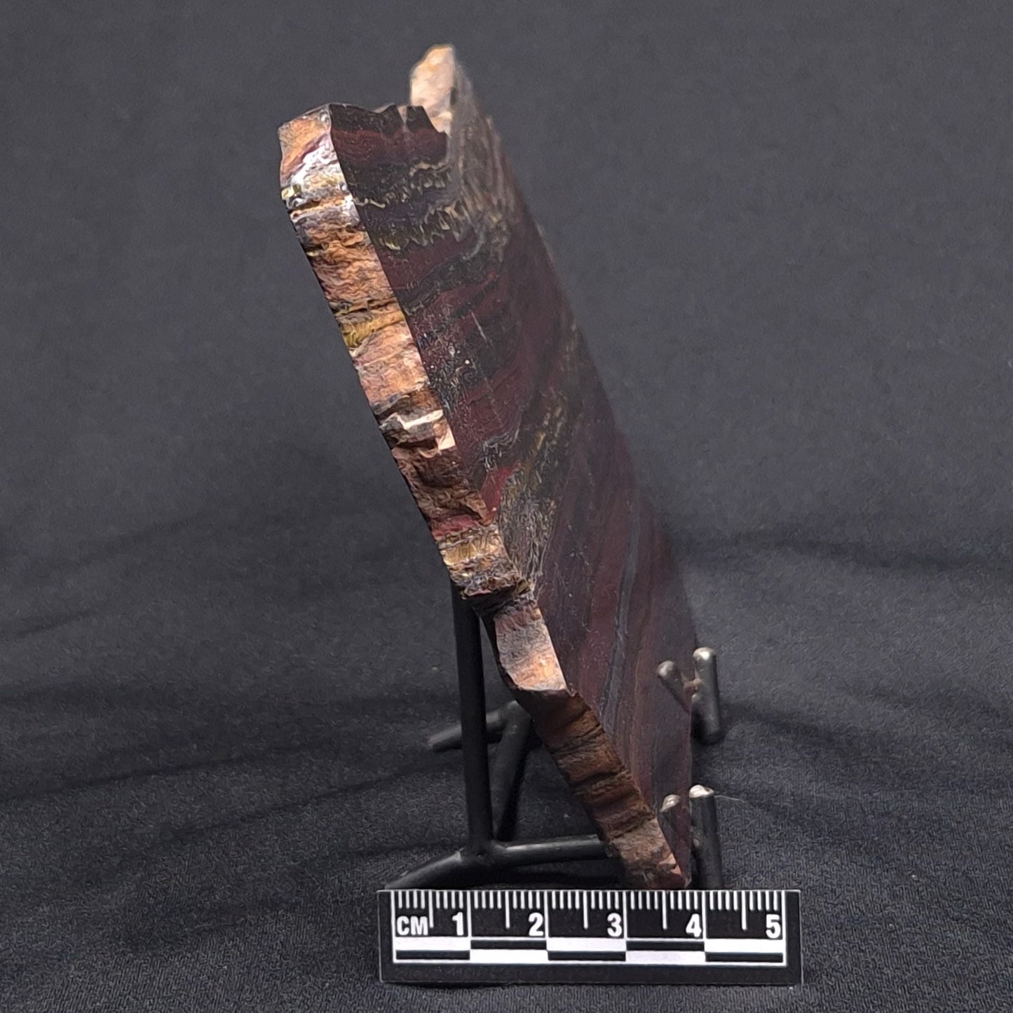 BANDED TIGER IRON MICROBIALITE, Archean, Australia ZBI046