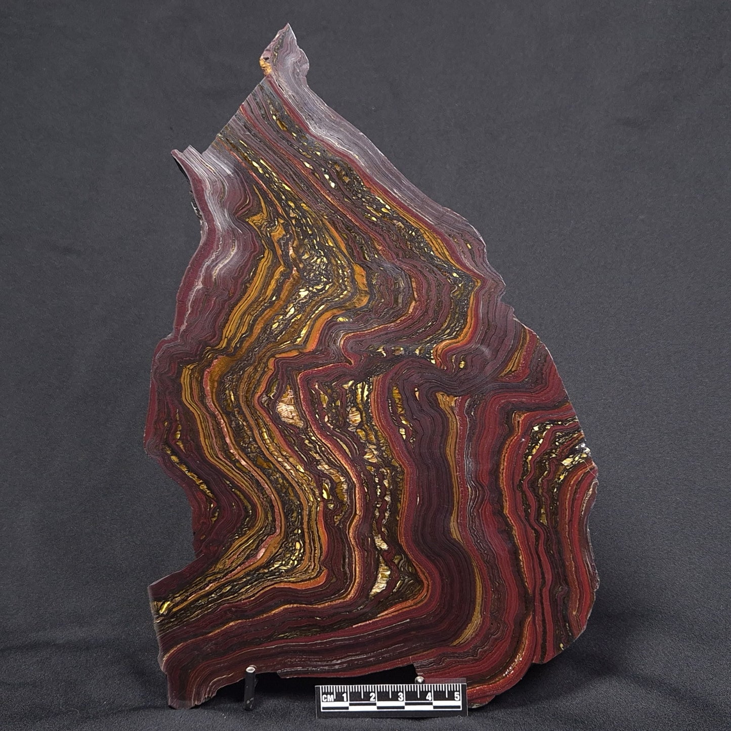 BANDED TIGER IRON MICROBIALITE, Archean, Australia ZBI047