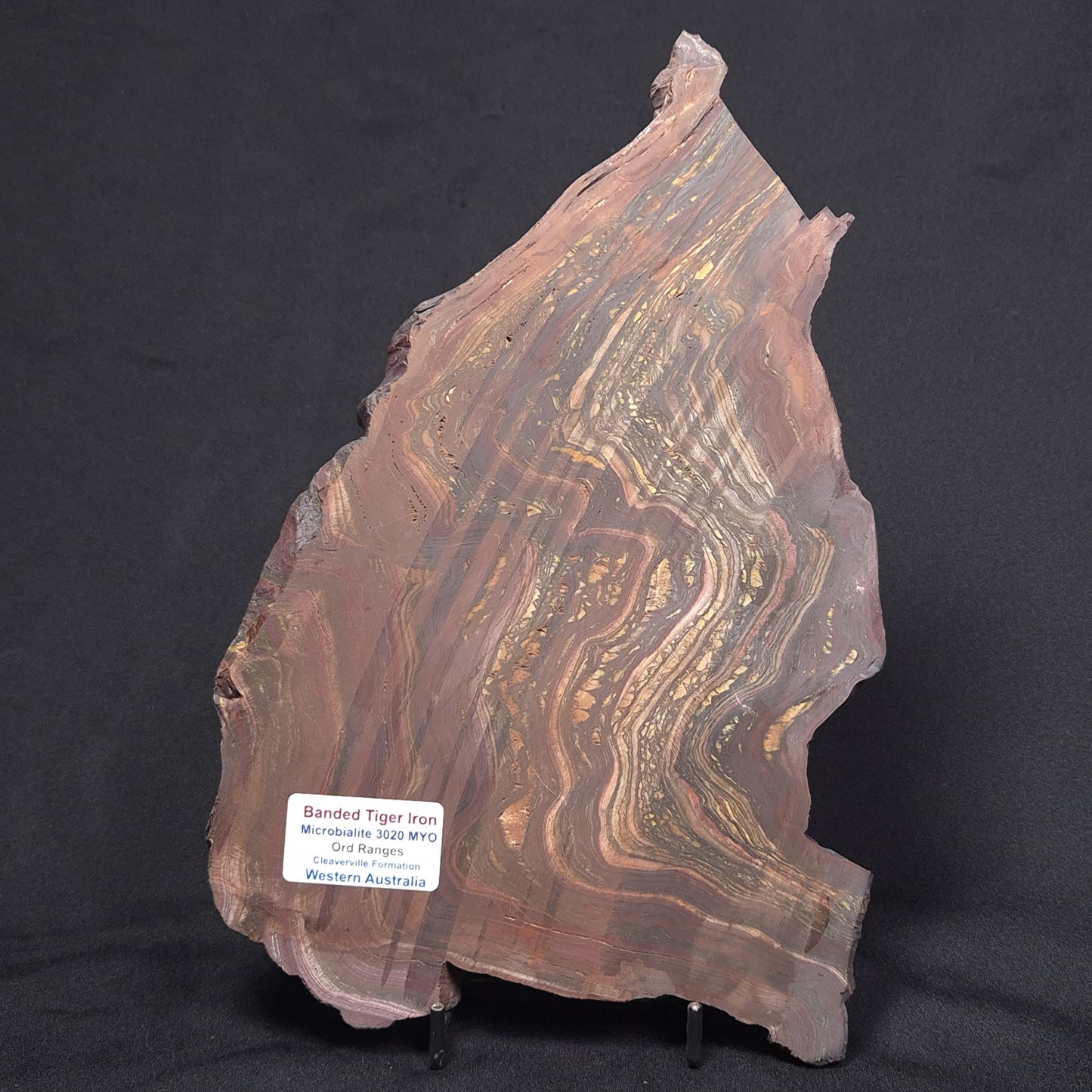 BANDED TIGER IRON MICROBIALITE, Archean, Australia ZBI047