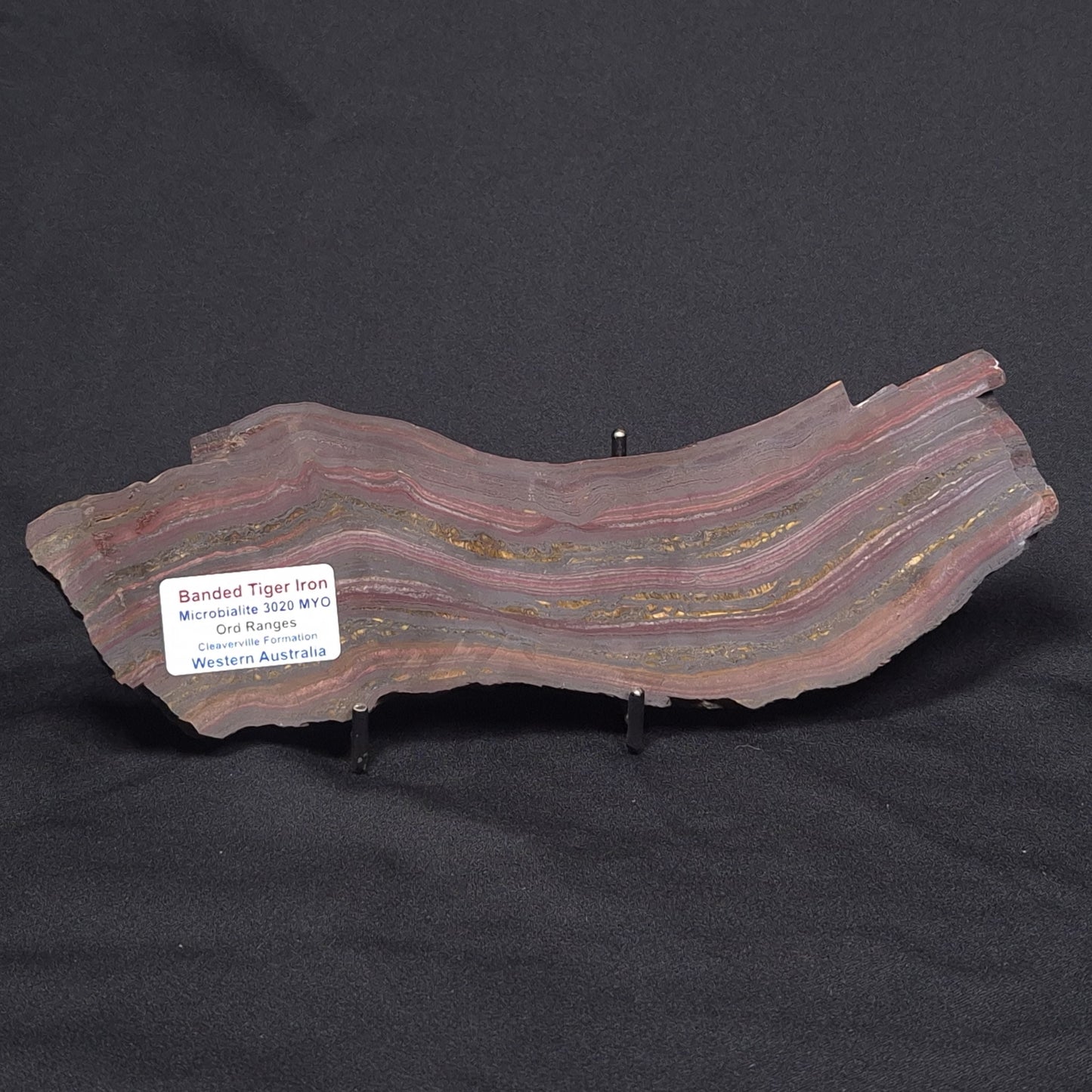 BANDED TIGER IRON MICROBIALITE, Archean, Australia ZBI049