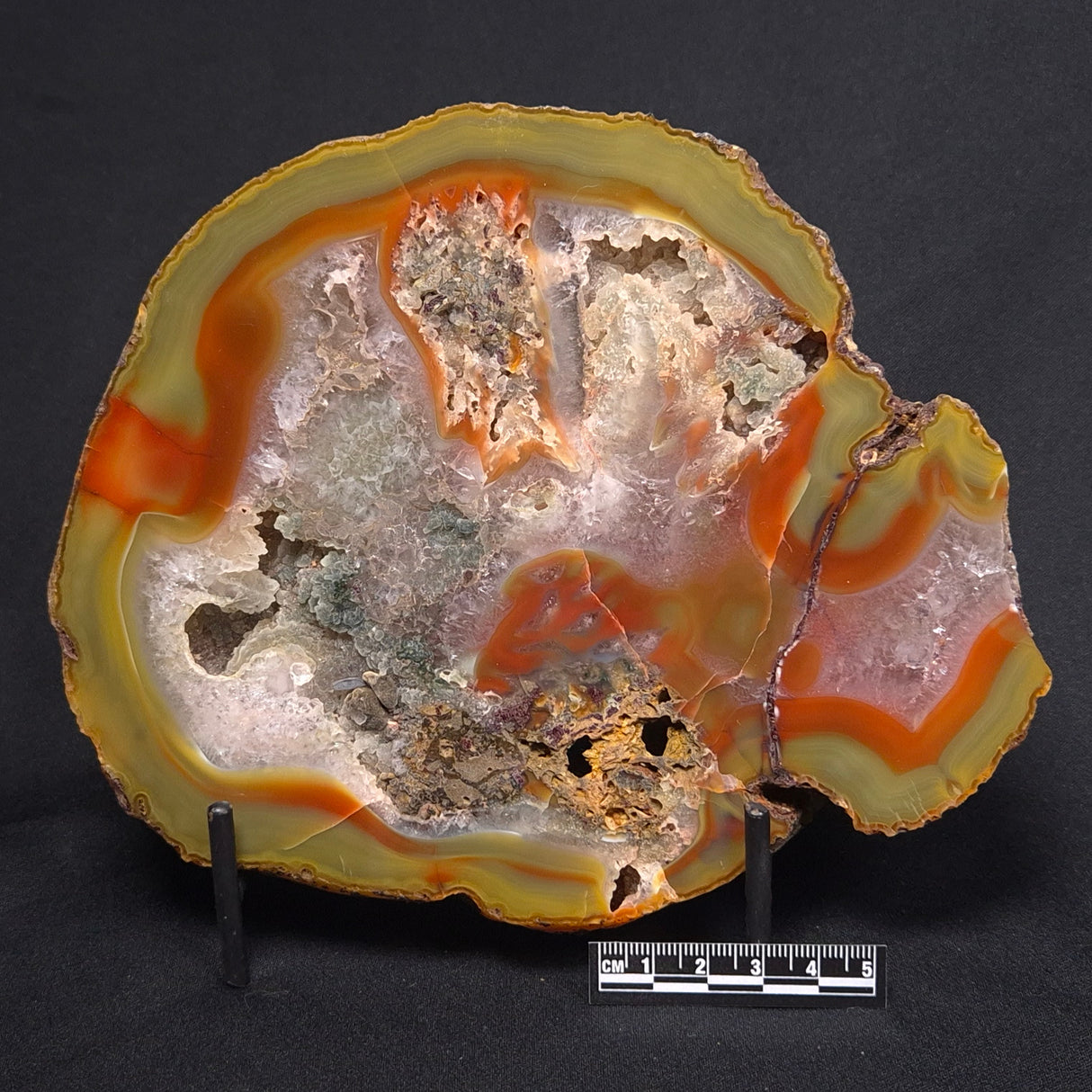 POLISHED AGATE, Agate Creek, Australia YAC005