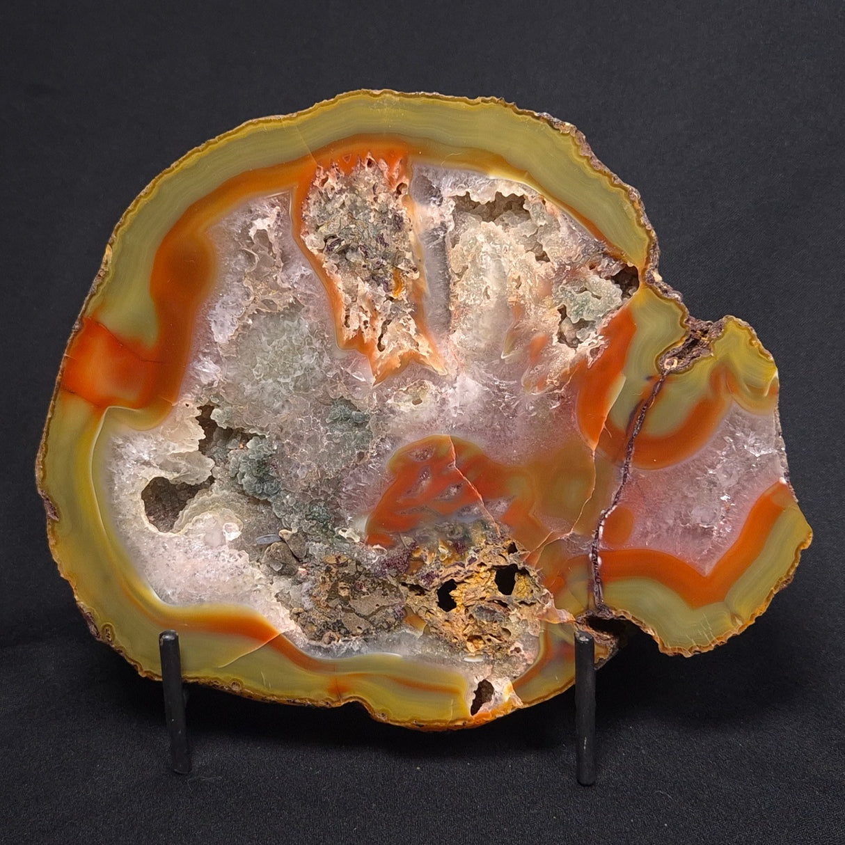 POLISHED AGATE, Agate Creek, Australia YAC005