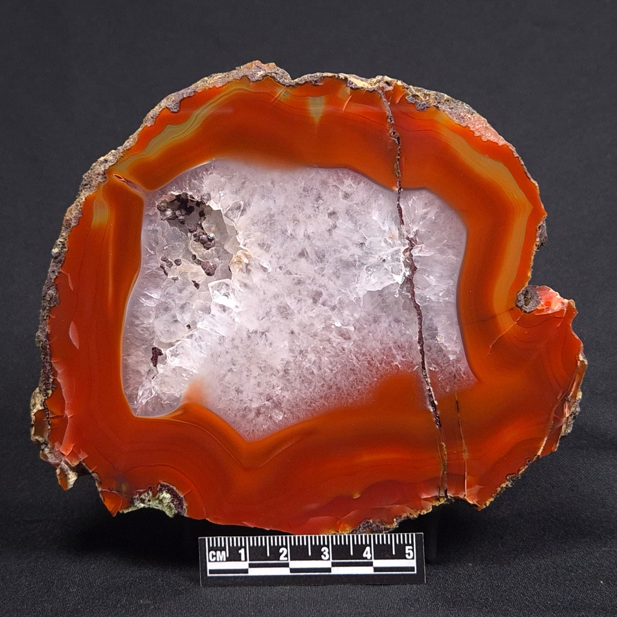 POLISHED AGATE, Agate Creek, Australia YAC006