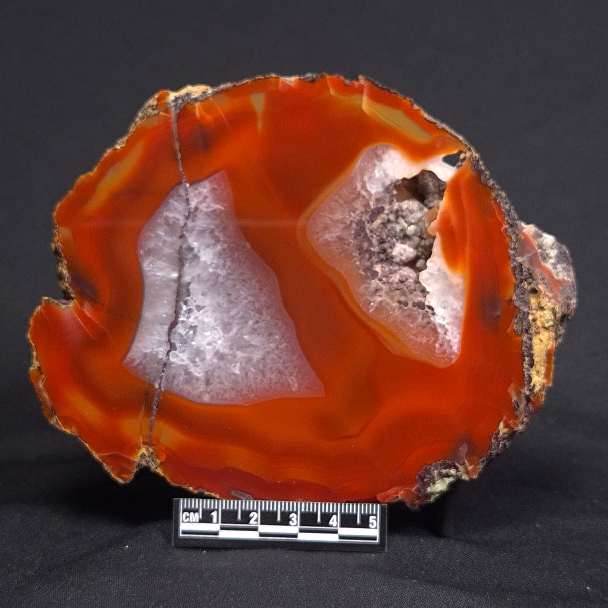 POLISHED AGATE, Agate Creek, Australia YAC010