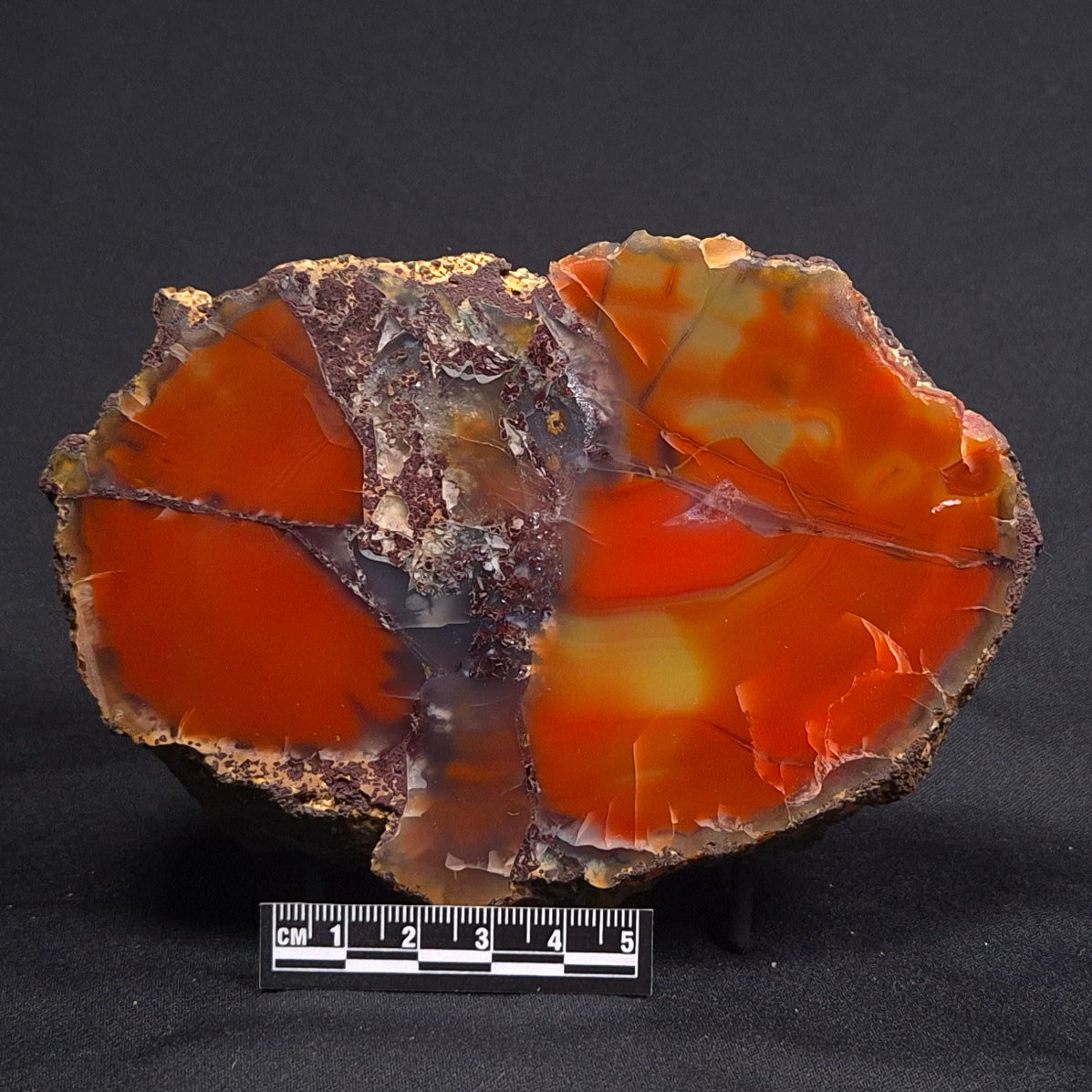POLISHED AGATE, Agate Creek, Australia YAC011