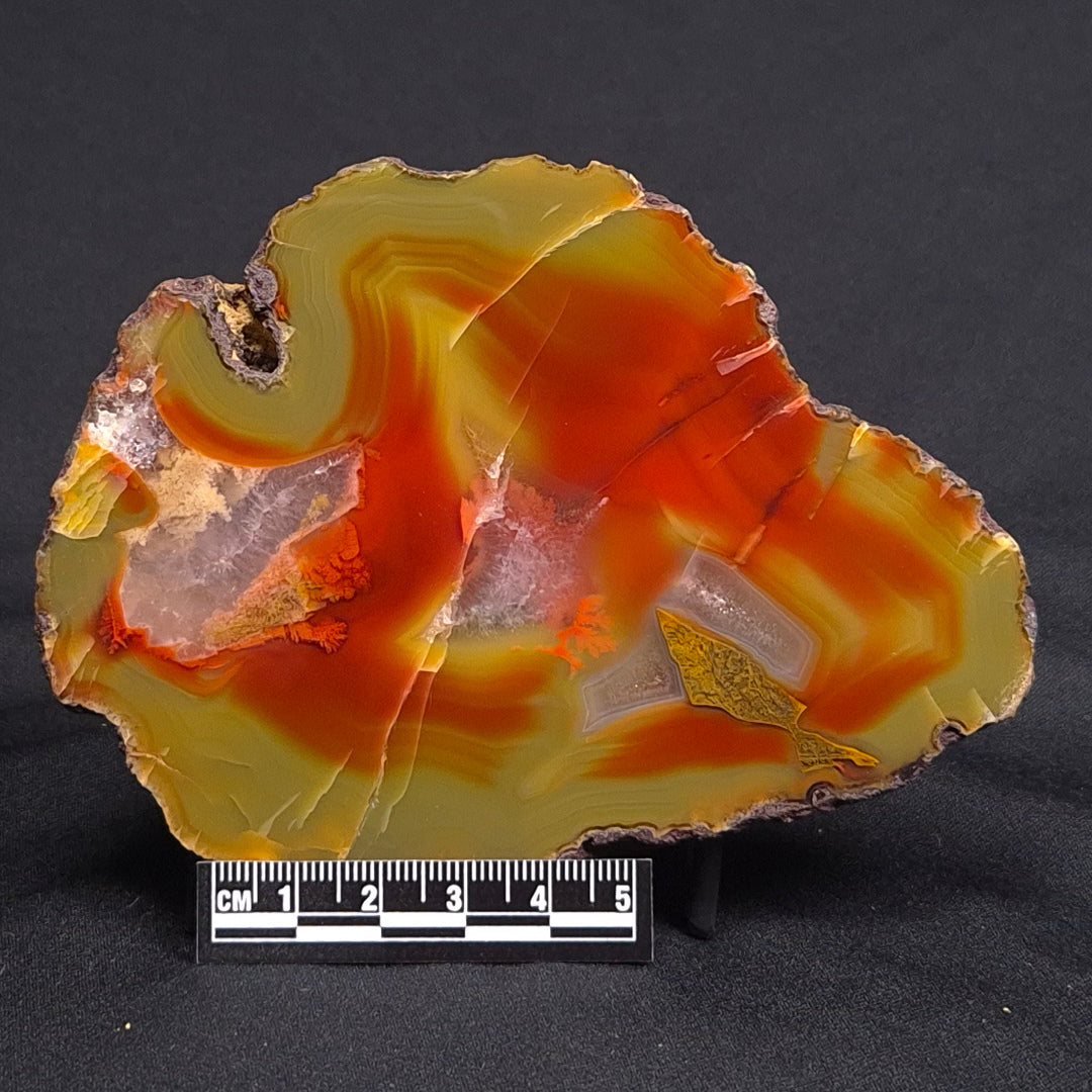 POLISHED AGATE, Agate Creek, Australia YAC012