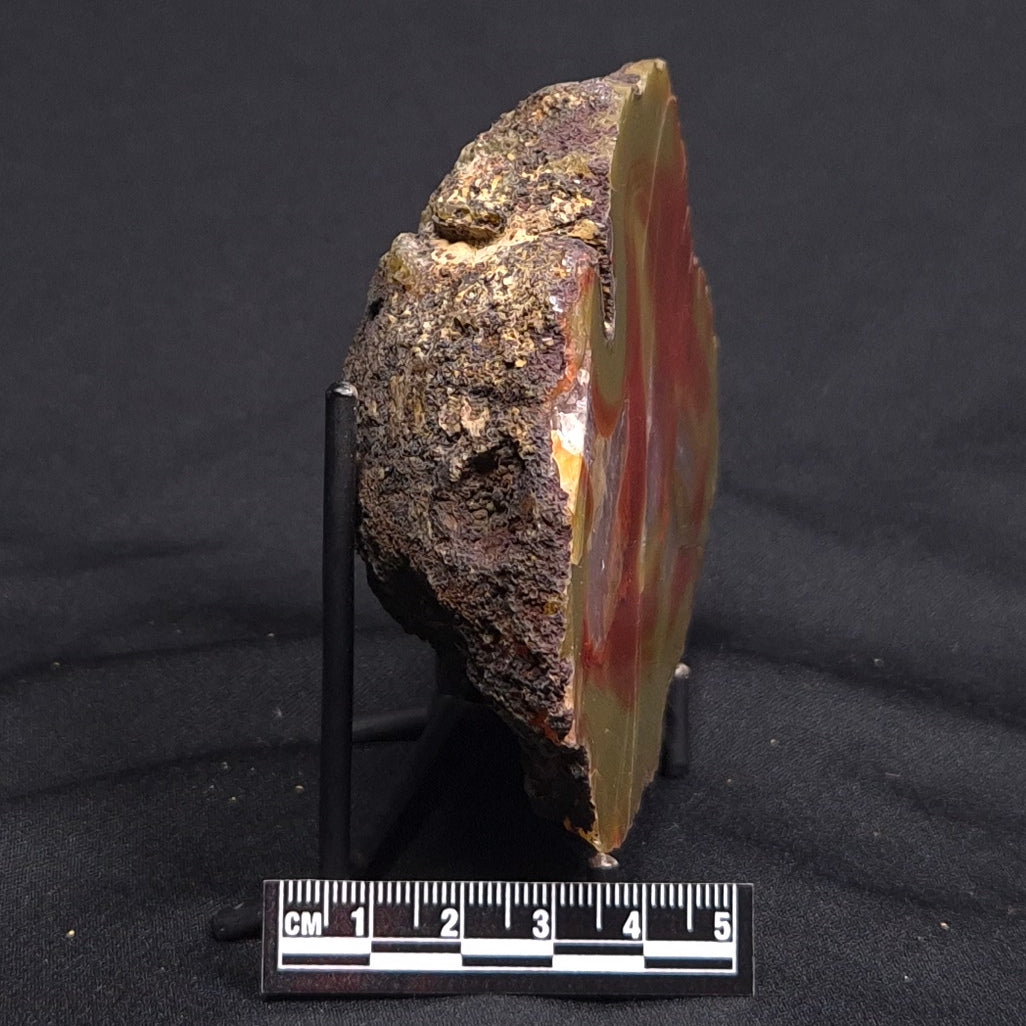 POLISHED AGATE, Agate Creek, Australia YAC012