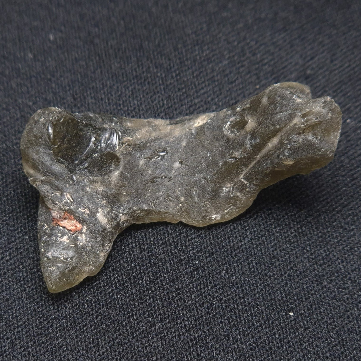 DARWIN GLASS IMPACTITE, Impact Melt, Australia YDG033