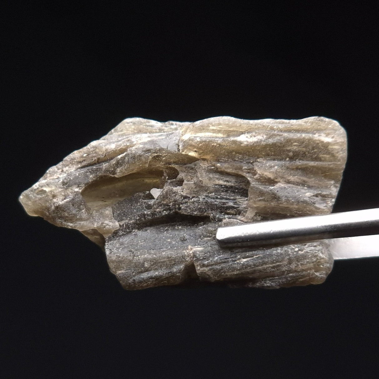 DARWIN GLASS INPACTITE, Impact Melt, Australia YDG041