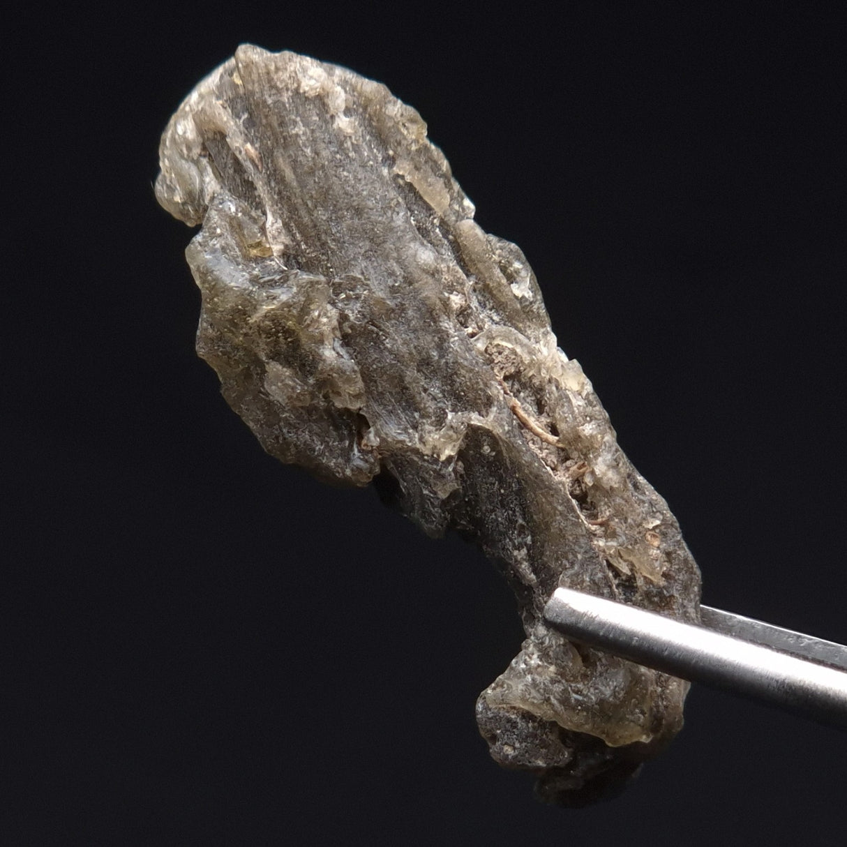 DARWIN GLASS IMPACTITE, Impact Melt, Australia YDG046