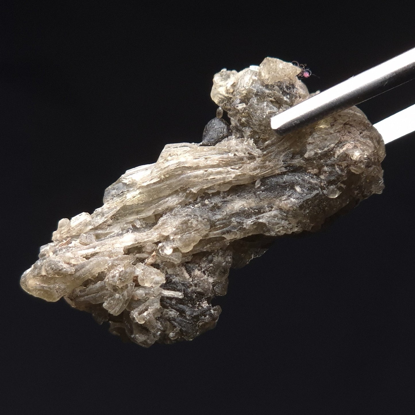 DARWIN GLASS INPACTITE, Impact Melt, Australia YDG048