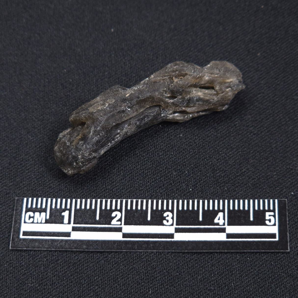 DARWIN GLASS INPACTITE, Impact Melt, Australia YDG050