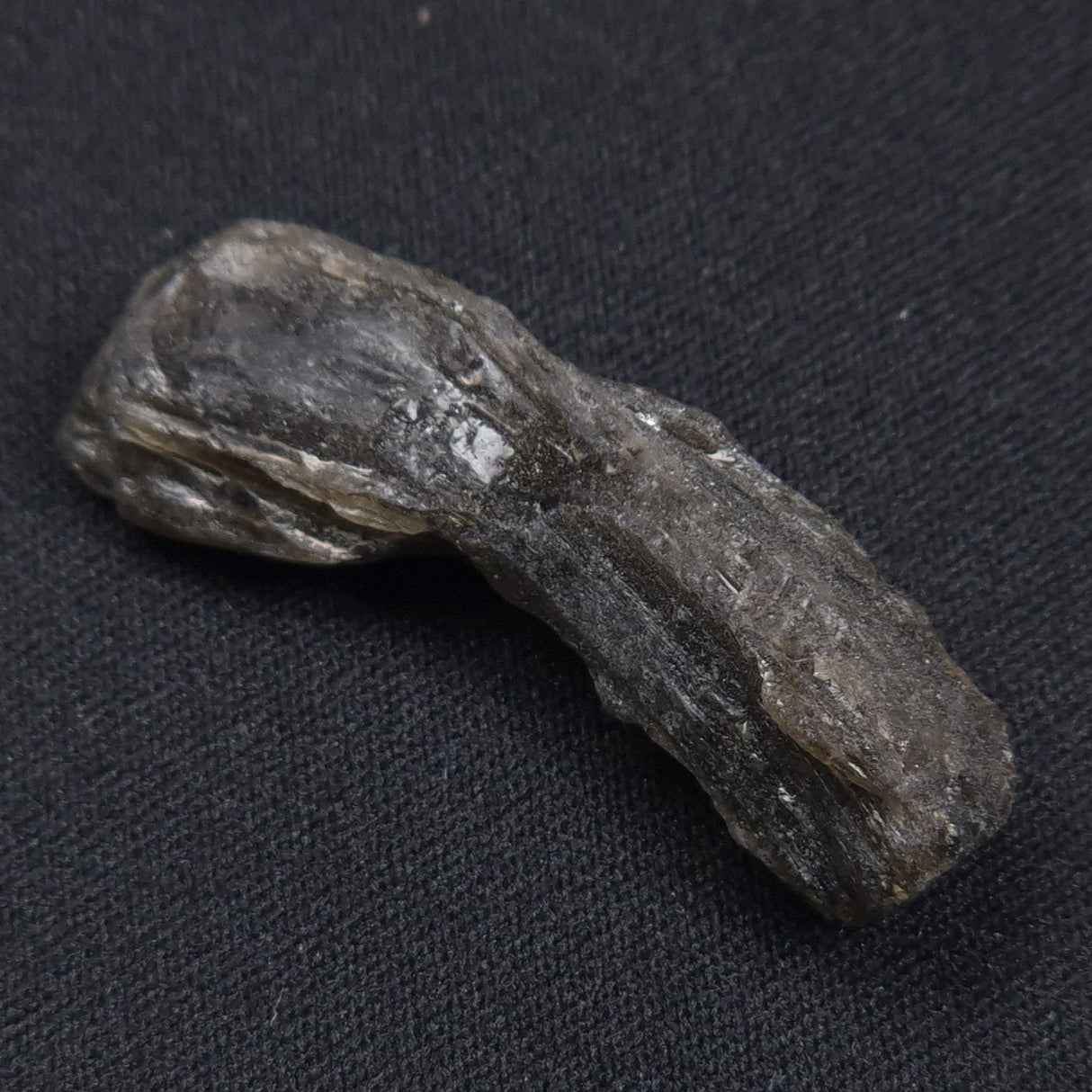 DARWIN GLASS INPACTITE, Impact Melt, Australia YDG050