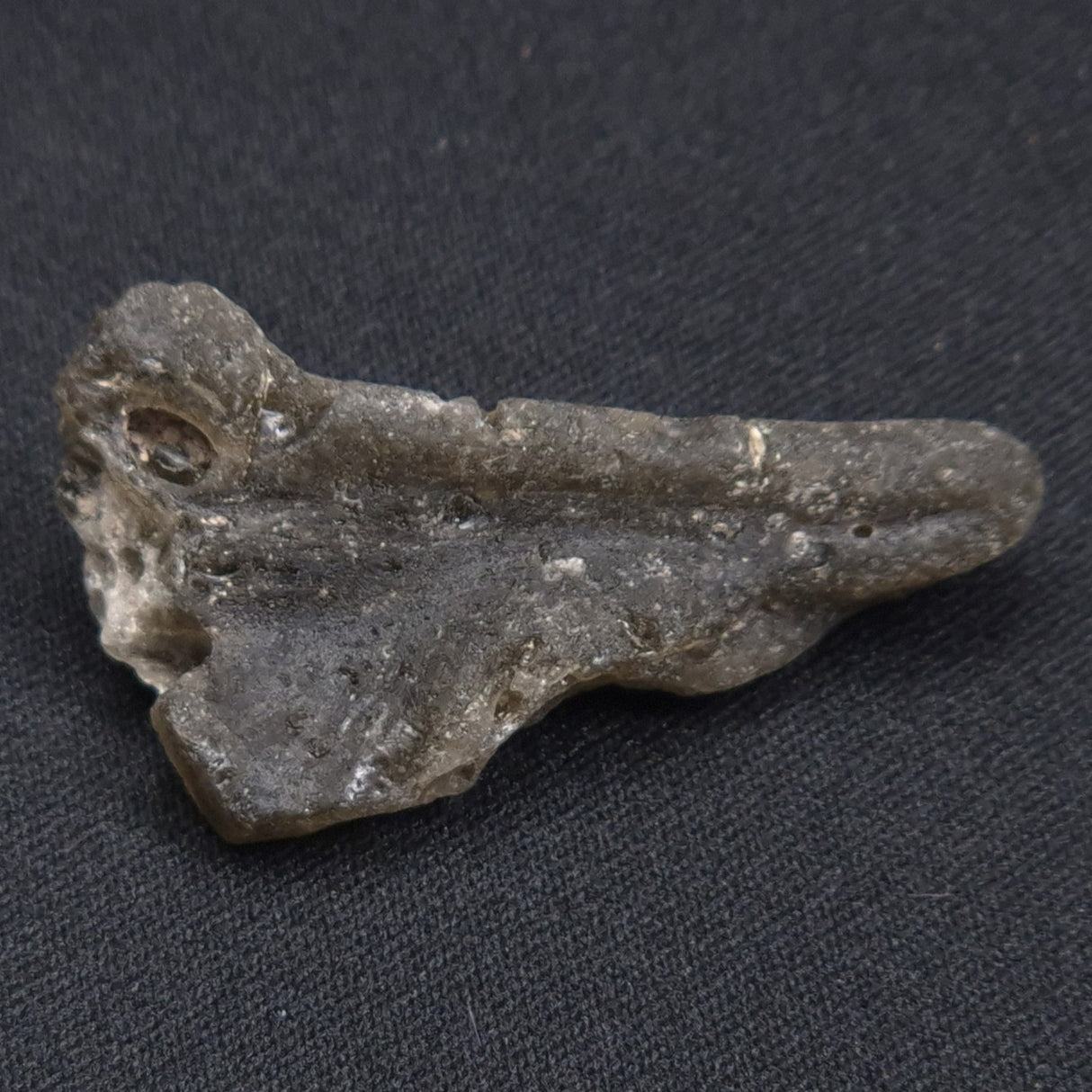DARWIN GLASS IMPACTITE, Impact Melt, Australia YDG056