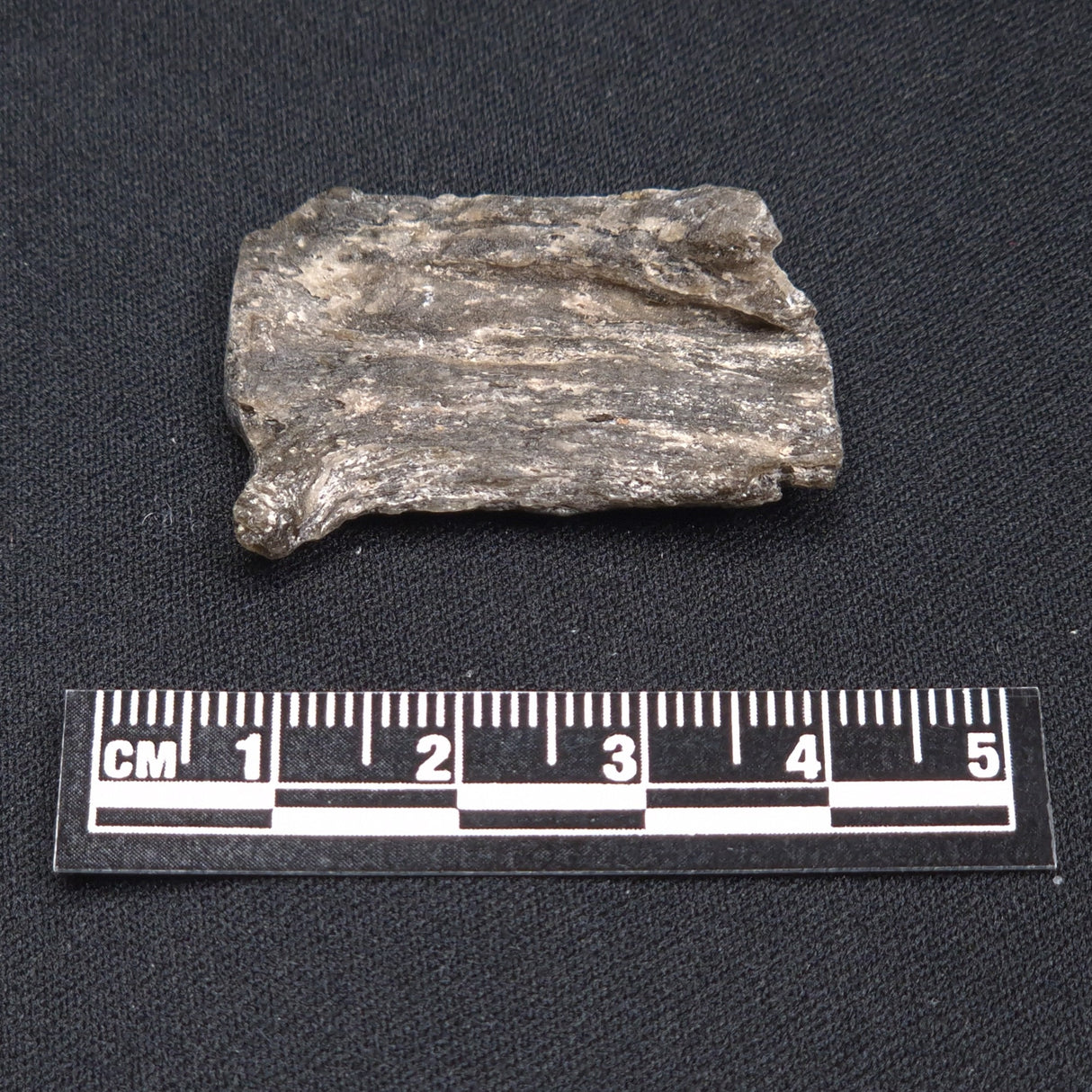DARWIN GLASS IMPACTITE, Impact Melt, Australia YDG057