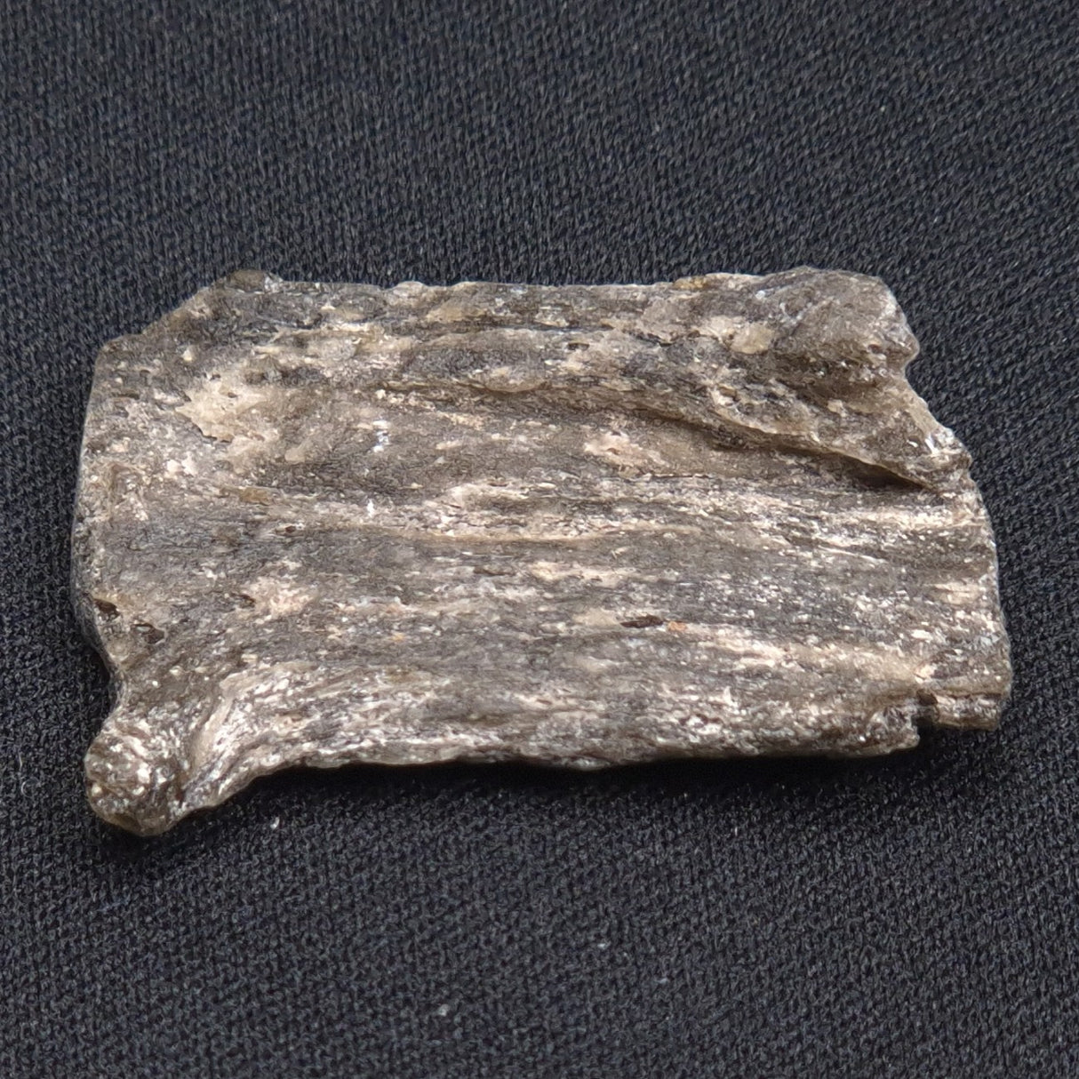 DARWIN GLASS IMPACTITE, Impact Melt, Australia YDG057