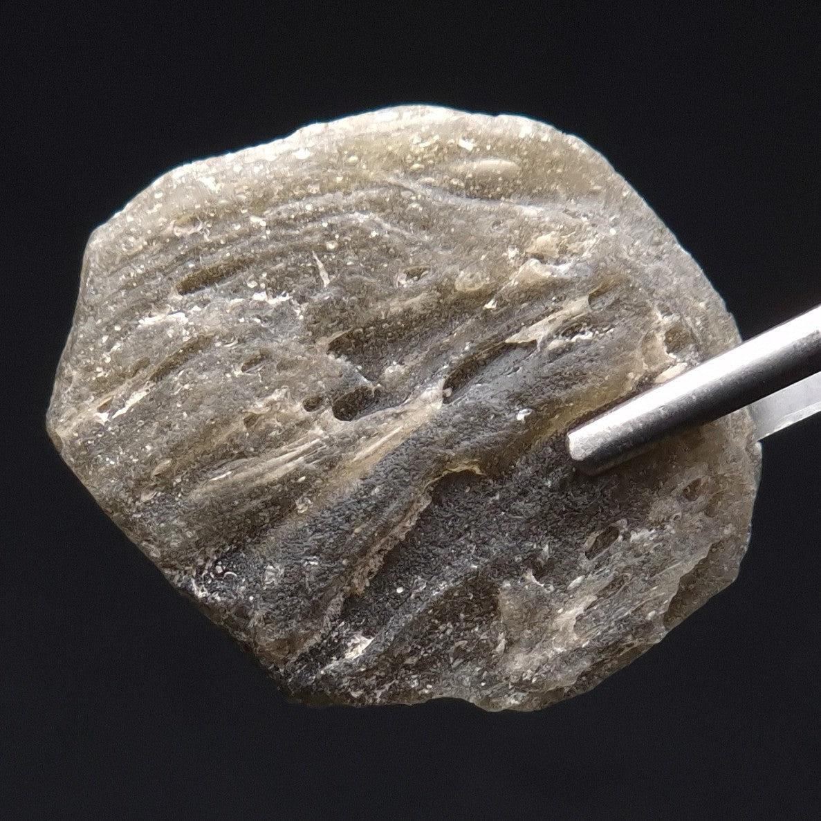 DARWIN GLASS IMPACTITE, Impact Melt, Australia YDG058
