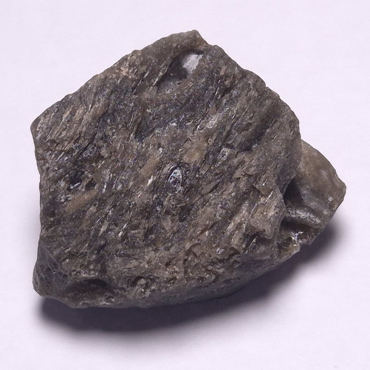 DARWIN GLASS IMPACTITE, Impact Melt, Australia YDG059