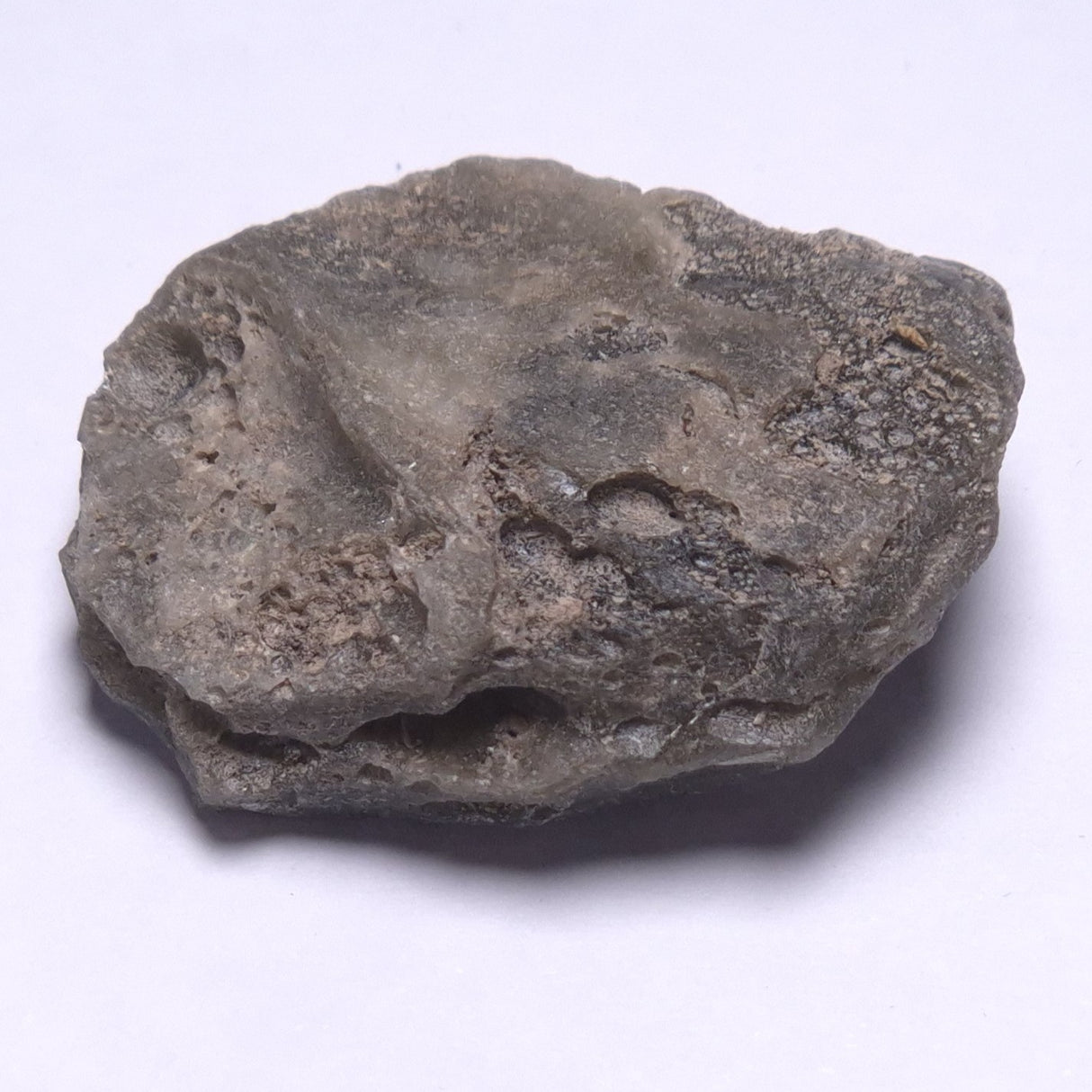 DARWIN GLASS IMPACTITE, Impact Melt, Australia YDG067