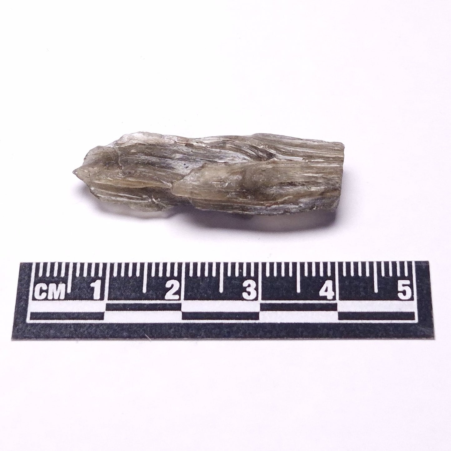 DARWIN GLASS INPACTITE, Impact Melt, Australia YDG088