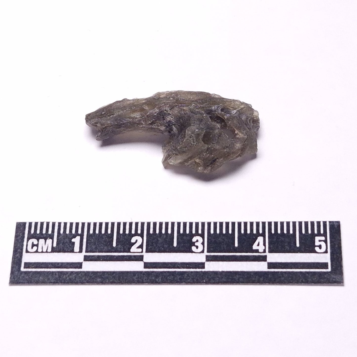 DARWIN GLASS INPACTITE, Impact Melt, Australia YDG094