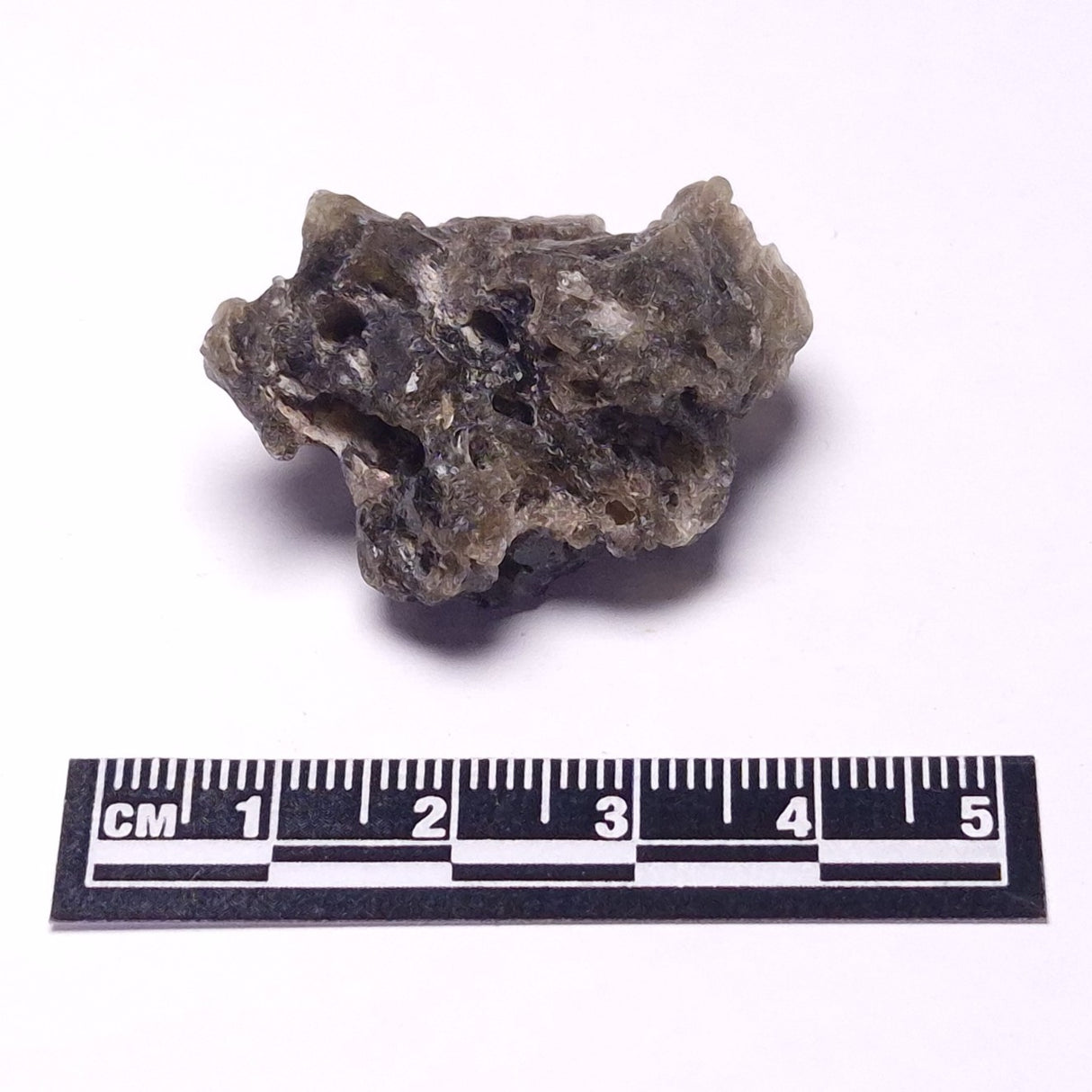 DARWIN GLASS INPACTITE, Impact Melt, Australia YDG104