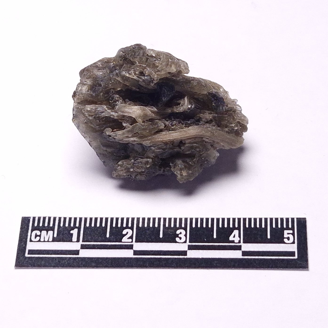 DARWIN GLASS INPACTITE, Impact Melt, Australia YDG113