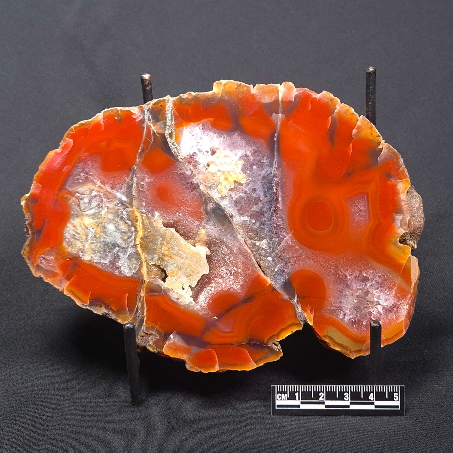 POLISHED AGATE, Agate Creek, Australia YAC015