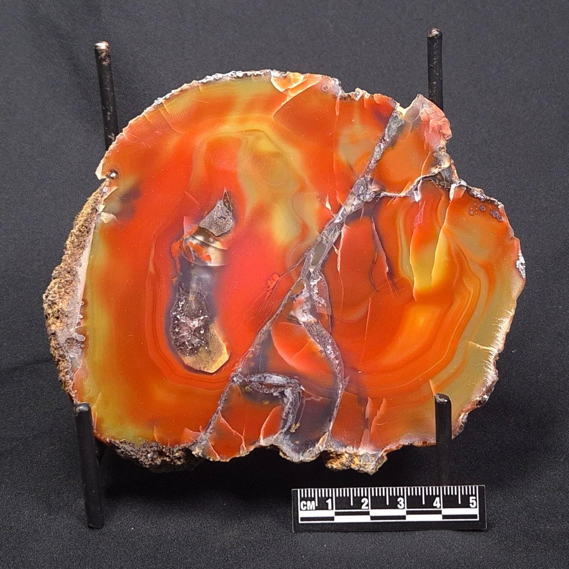 POLISHED AGATE, Agate Creek, Australia YAC016