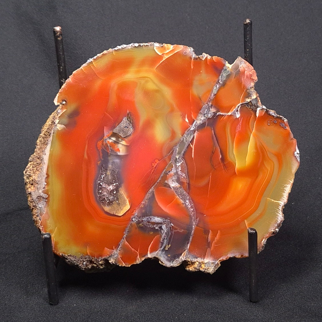 POLISHED AGATE, Agate Creek, Australia YAC016