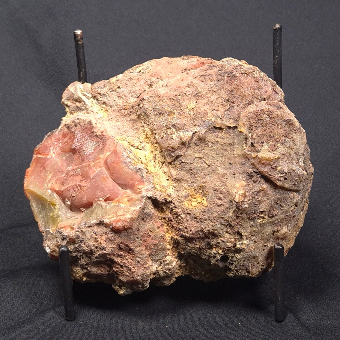 POLISHED AGATE, Agate Creek, Australia YAC016